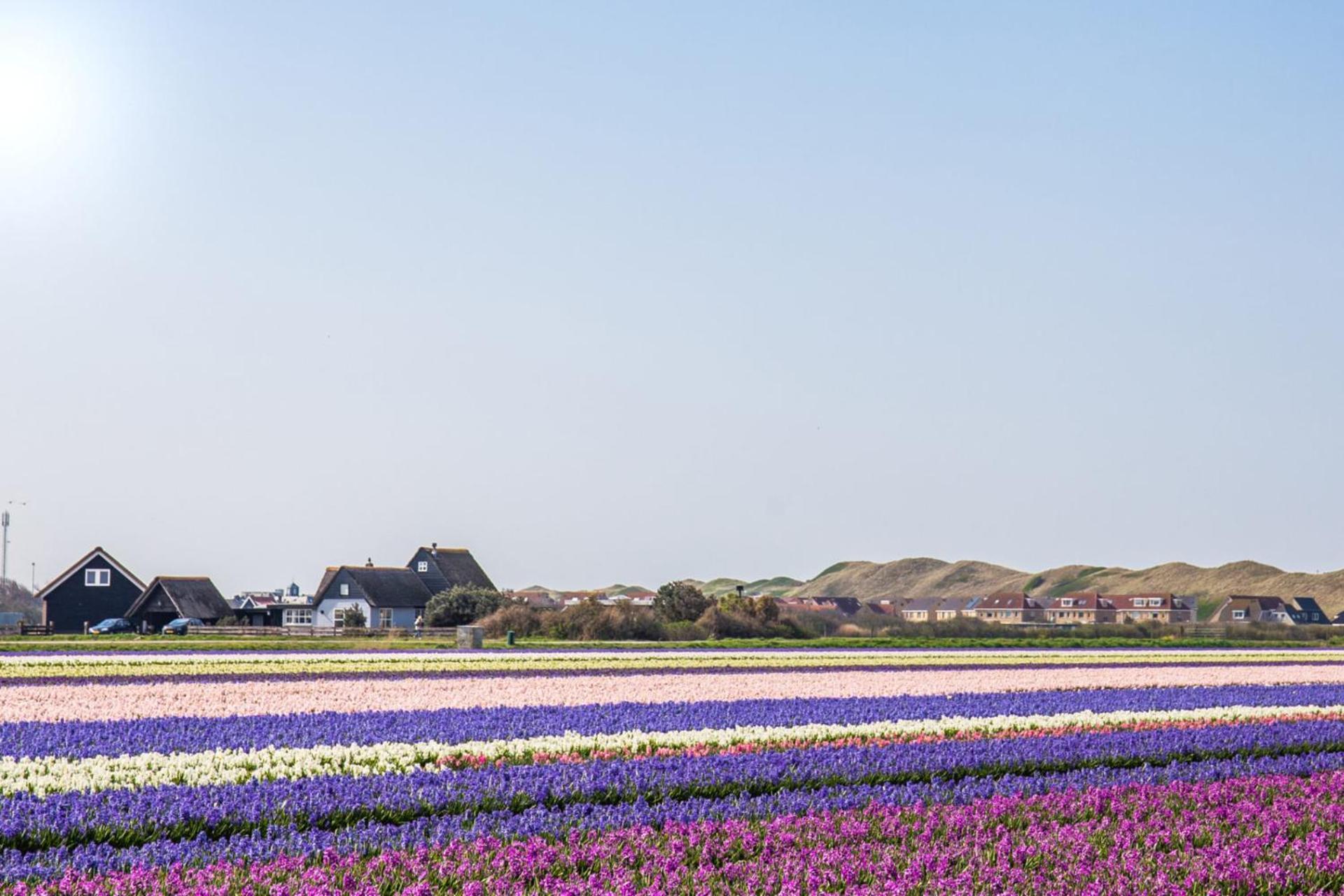 Vakantiehuis Pico Bello - Callantsoog Aan Zee Exterior foto